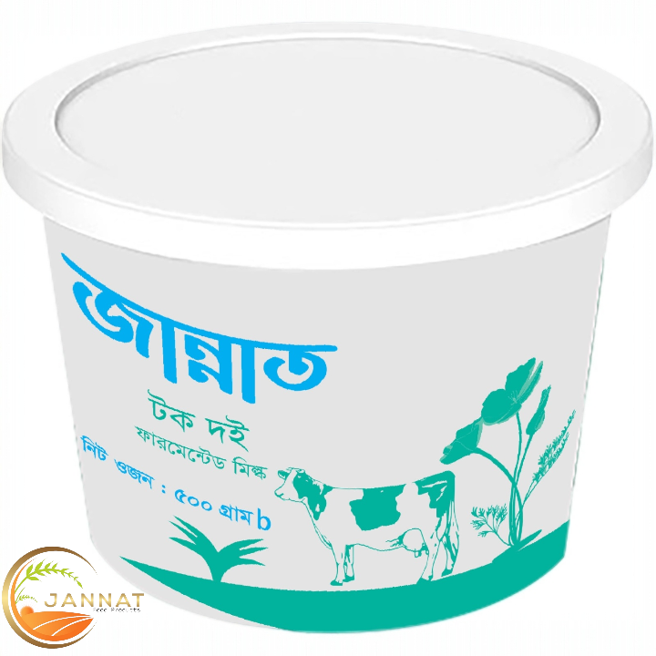 টক দই | Tok Doi | Sour yogurt